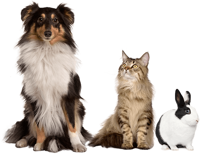 home-page-3animals-cutout-xsm